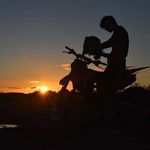 Archie - @archie_dawson - Instagram
