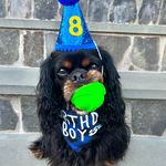 Archie Henley Dawson - @archiec180 - Instagram