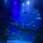 archie doyle - @archiedoyle624 - Instagram