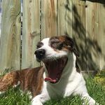 Archie Edwards - @archie._.edwards - Instagram