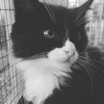 Archie Edwards - @archie_edwards123 - Instagram