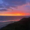 archieedwards16 - @archieedwards16 - TikTok