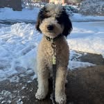 Archie Ellis - @archie_ellis4 - Instagram