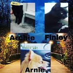 Archie Finley Arnie - @animalworld0720 - Instagram