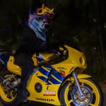 Archie The Fox-Dragon - @archie_foxdragon - Instagram