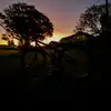 Archie 😮‍💨 - @archie.hall_ - TikTok