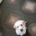 Archie Hall - Facebook