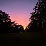 Archie Hall - @archiehall44 - Instagram