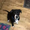 archiehancock37 - @archiehancock37 - TikTok