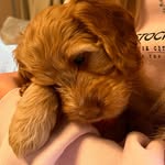 Archie kempton - @kempton_archie - Instagram