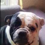 Archie Madden - @archie.madden.90 - Instagram