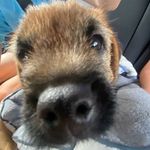 Archie McCormick - @archmack73 - Instagram