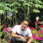 Archie Miranda - @archie.miranda.180 - Instagram