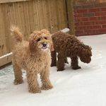 Bailey & Archie Riley - @_bailey.archie_ - Instagram