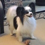 Linda Archie Riley - @lindaarchieriley - Instagram