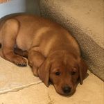 Archie Small - @archiesmall1 - Instagram
