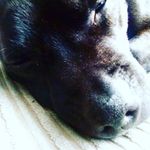 archie small - @aj41_1 - Instagram
