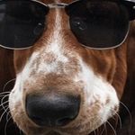 Archie Small - @small.archie - Instagram