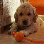 Archie Warren - @archie_parchie_pudding_pie2021 - Instagram