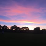 Archie warren - @arch1e67 - Instagram