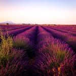 Archie warren - @archie_wozza_photography - Instagram