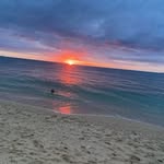 Archie - @archiewebber1 - Instagram
