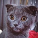 Ardenchen - @ardenchen - Instagram