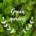Хвойні декоративні рослини🏞️ - @green.g.arden - Instagram