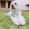 Garden green - @garden_green90 - TikTok