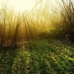 ArdisHoffman - @ardishoffman - Instagram