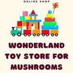 Areefa Ali - @wanderlandtoystoreformushrooms - Instagram