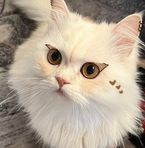 AReefa Ali - Facebook