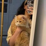 • َ𝒂𝒓𝒆𝒆𝒋 𝒂𝒉𝒎𝒆𝒅 ♥️. - @_areej_ahmed_ - Instagram
