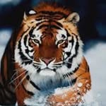 areej_ahmed - @areej_ahmed - Instagram