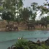Areej Ahmed - @areeja.a.a - TikTok