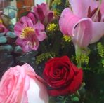 Arely Cuevas - Facebook