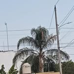 Aremi Rodríguez calatallun - @calatallun - Instagram