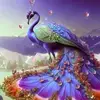 Arfa Ahmed - @arfa.ahmed27 - TikTok