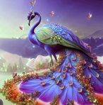Arfa Ahmed - Facebook
