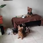 Argel Castillo - @omic423 - Instagram