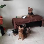 Geovani Castillo - @argelcastillo231981 - Instagram