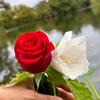 Arham Ali - @arham1_075 - TikTok