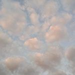 @_aribaum_ - Instagram