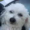 aribene7 - @aribene7 - TikTok