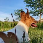 Ari Cari - @_aricari_ - Instagram