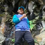 Ari David - @ari_david_ari - Instagram