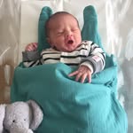Ari David - @aridavidaridavid - Instagram
