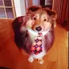 aari! - @ariluvsfish - TikTok