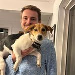 Ari Fishman (usuario personal) - @arifishman - Instagram