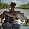 arif fishing - @ariffishingwildbaramundi - TikTok